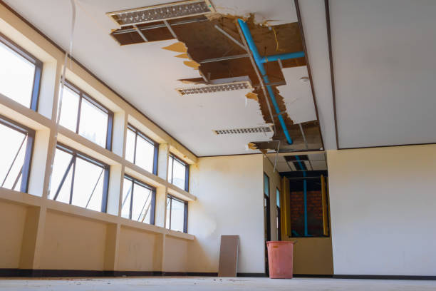 Best Basement water damage restoration  in Purdy, WA