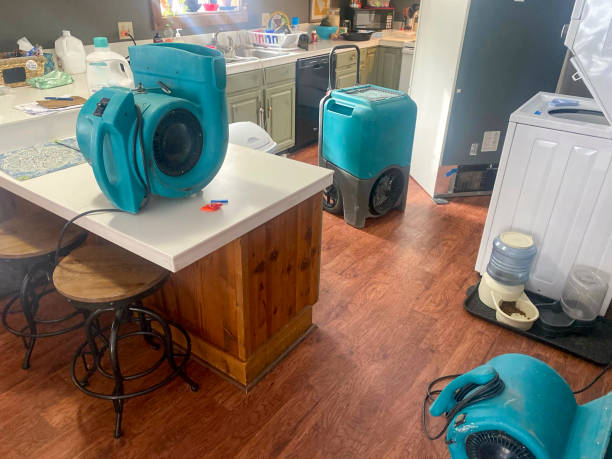 Best Residential water damage restoration  in Purdy, WA