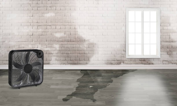 Water damage restoration experts in Purdy, WA