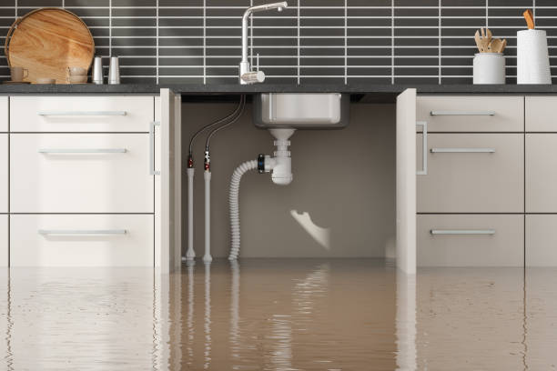 Best Professional water damage repair  in Purdy, WA
