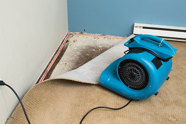 Trusted Purdy, WA Water damage restoration Experts